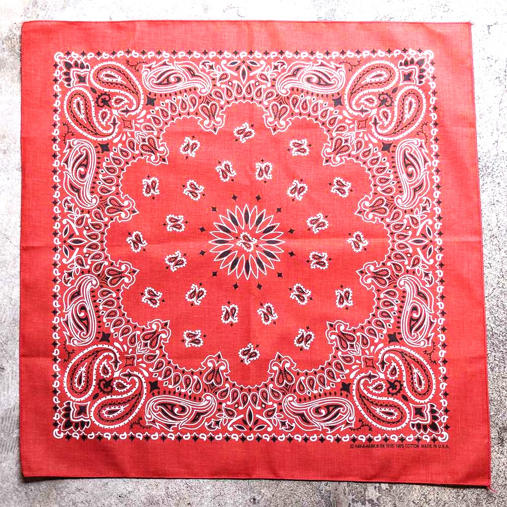 BLUE LUG Cotton Bandana - Paisley / Terracotta