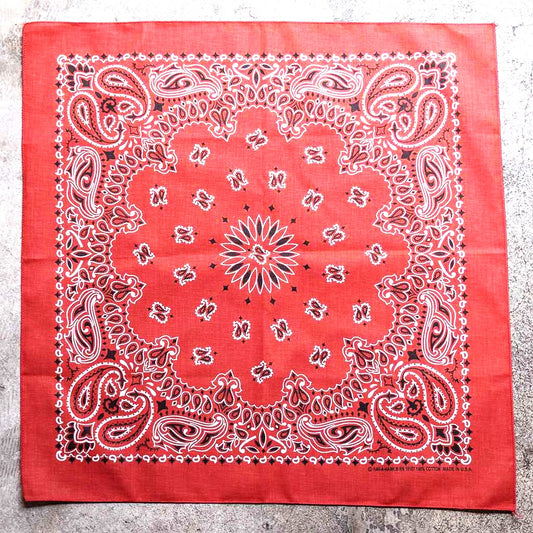 BLUE LUG Cotton Bandana - Paisley / Terracotta