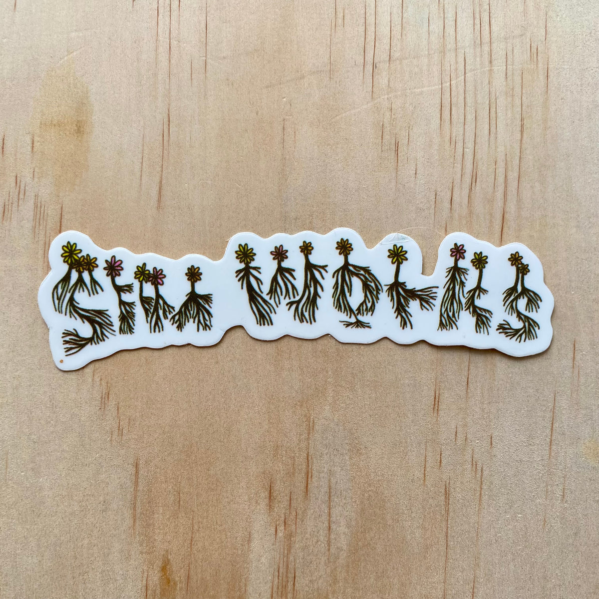 SIMWORKS Stickers