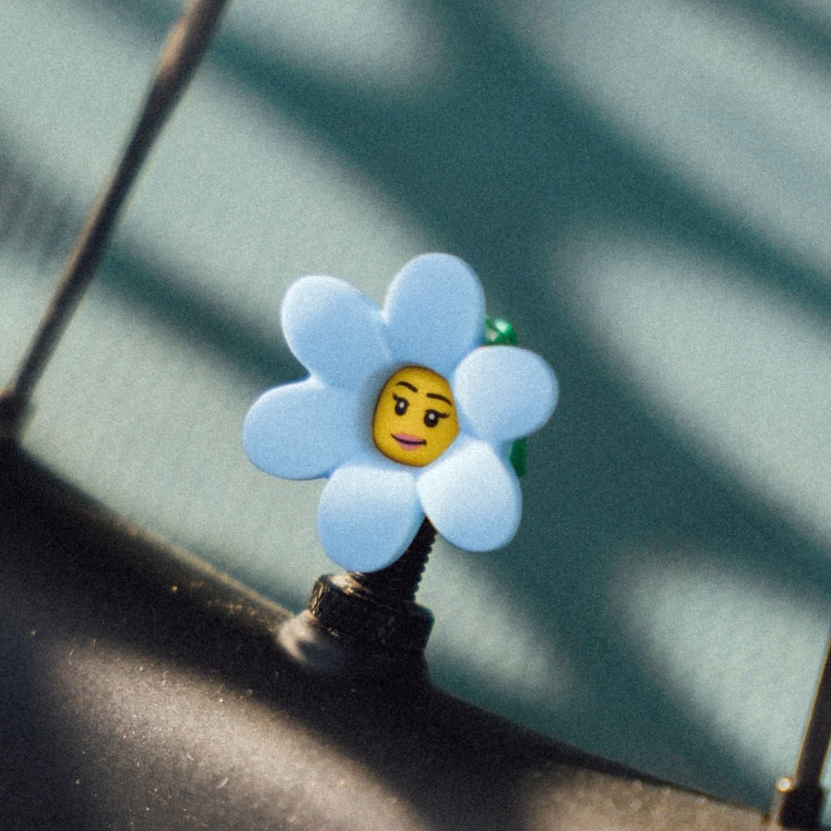 Flower Girl - Limited Edition - Presta